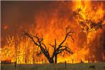 incendio