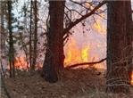incendio