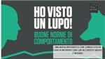 Lupo